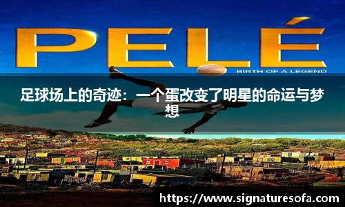 华体会hth登录入口