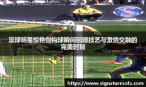 华体会hth登录入口